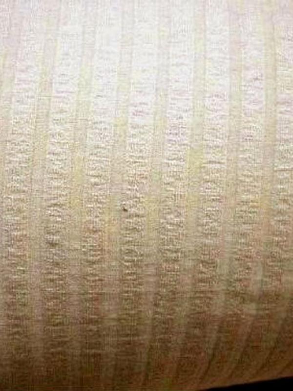 Lycra beige clair cotes en relief 1 
