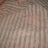 Lycra bisque rayures transparentes 2 