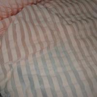 Lycra bisque rayures transparentes 3 