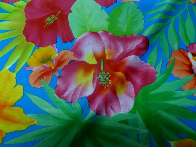 Lycra bleu hibiscus et dahlias 4