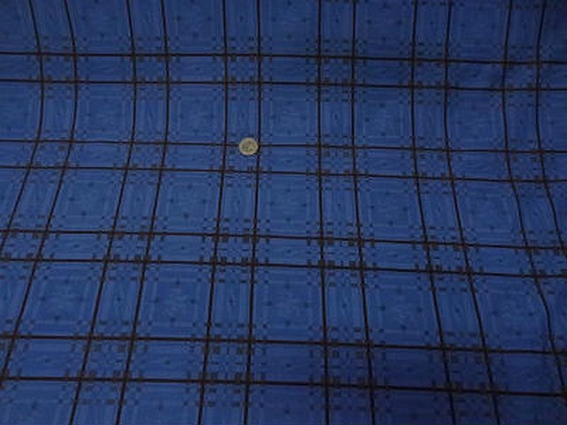 Lycra bleu roi quadrille noir 1