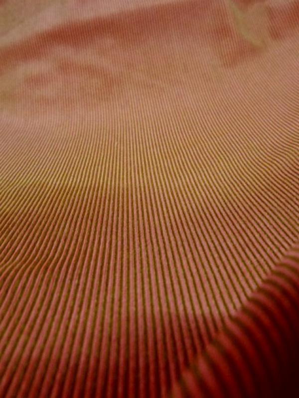 Lycra finement cotele moire teintes capucine mousse 1 