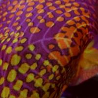 Lycra framboise motif fleurs pointillisme 5 