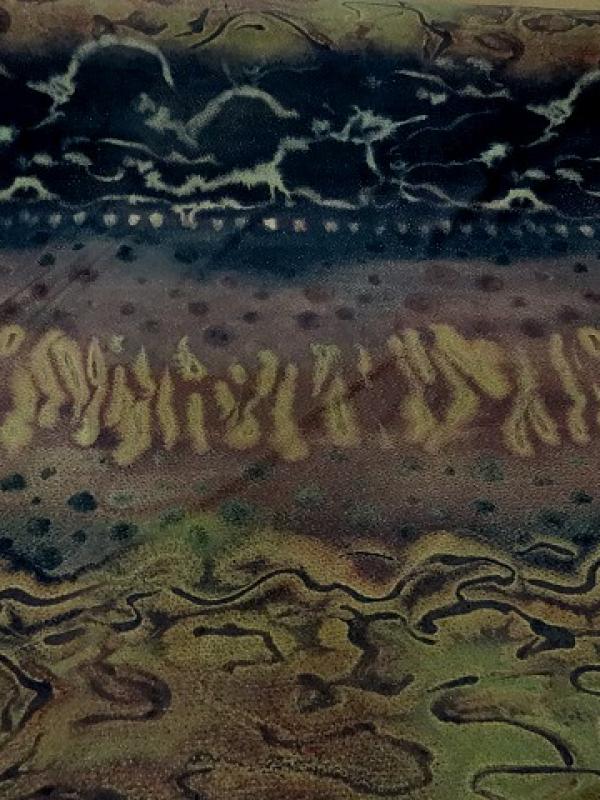 Lycra frises sepia et kaki 2 