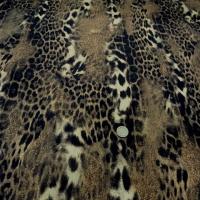 Lycra imprime peau de jaguar flou 1 