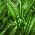 Lycra lame vert lime 2 