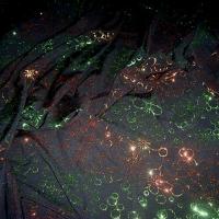 Lycra paillettes raye flowers orange vert 1 