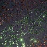 Lycra paillettes raye flowers orange vert 4 