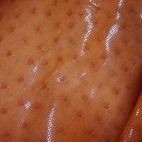 Lycra teinte abricot motif autruche brillant 1 