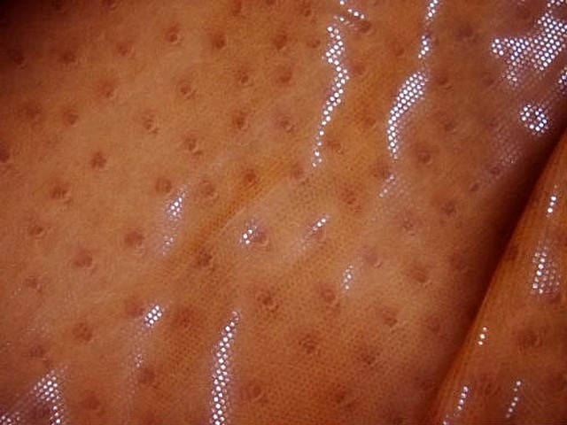 Lycra teinte abricot motif autruche brillant 1