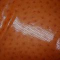 Lycra teinte abricot motif autruche brillant 3 