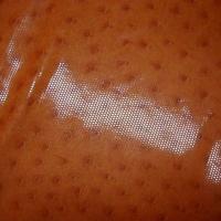 Lycra teinte abricot motif autruche brillant 3