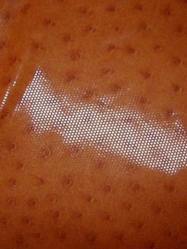 Lycra teinte abricot motif autruche brillant 3 