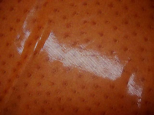 Lycra teinte abricot motif autruche brillant 3