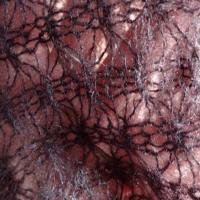 Maille angora bourgogne 1