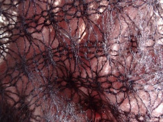 Maille angora bourgogne 1