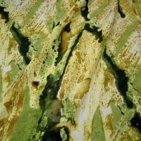 Microfibre noir safran tilleul effet peinture talochee 1