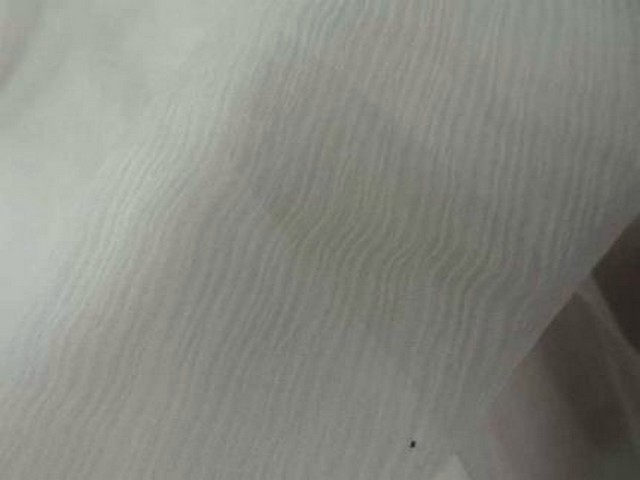 Mousseline de soie blanc casse 4