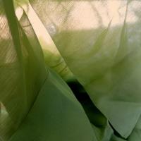 Mousseline de soie chiffon kaki vert mousse 4 
