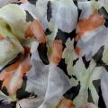 Mousseline de soie chiffon motif tachete noir vert tilleul corail 1