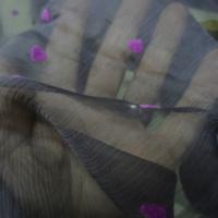 Mousseline de soie gris moyen coeurs magenta en applique 4 