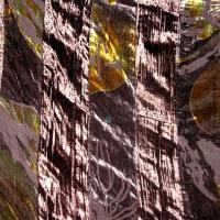 Mousseline devoree fleurie et bandes de velours chatoyant 2 