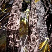 Mousseline devoree fleurie et bandes de velours chatoyant 4 