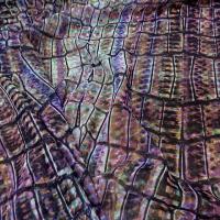 Mousseline polyester motif ecailles multicolore 1