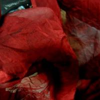 Mousseline rouge profond froisse permanent 3 