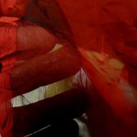 Mousseline rouge profond froisse permanent 5 