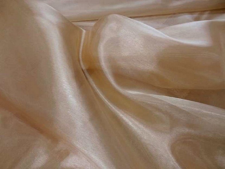Organza beige or 3