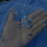Organza bleu sur brode ton sur ton 3
