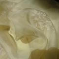 Organza de soie vanille fleurs blanches 2