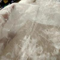 Organza ecru fantaisie plumes 5 