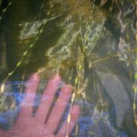 Organza jaune bleu saphir raye chenille 3