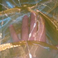 Organza jaune or et turquoise raye chenille 3