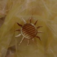 Organza jaune safran surbrode soleil 1