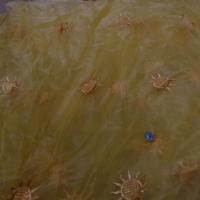 Organza jaune safran surbrode soleil 2