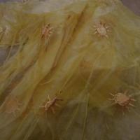 Organza jaune safran surbrode soleil 3