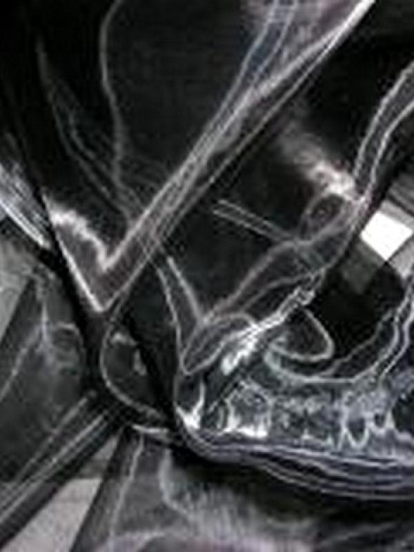 Organza noir 1