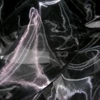 Organza noir 2