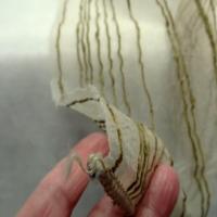 Organza plombe nacre kaki moyen chaud fines raies velours chenille 4