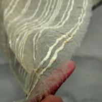 Organza plombe nacre teinte creme 4