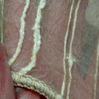 Organza plombe nacre teinte creme 5