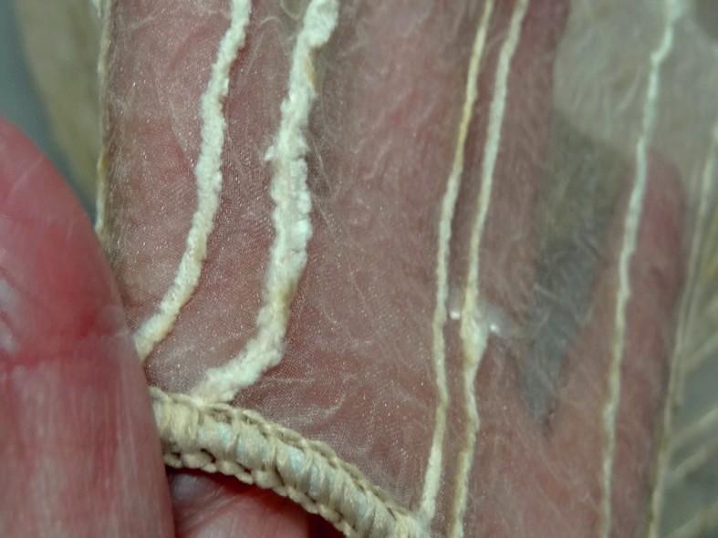 Organza plombe nacre teinte creme 5