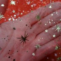 Organza rouge etoiles du berger 1 