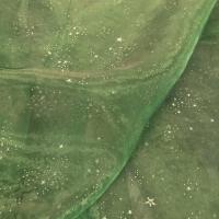 Organza vert olive etoiles relief en applique 
