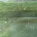Organza vert olive etoiles relief en applique 4