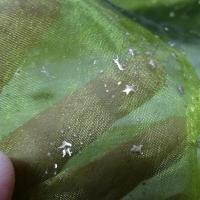 Organza vert olive etoiles relief en applique 5 