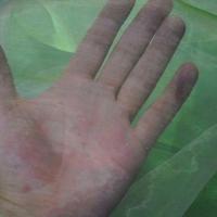 Organza vert pomme reflet blanc 2 